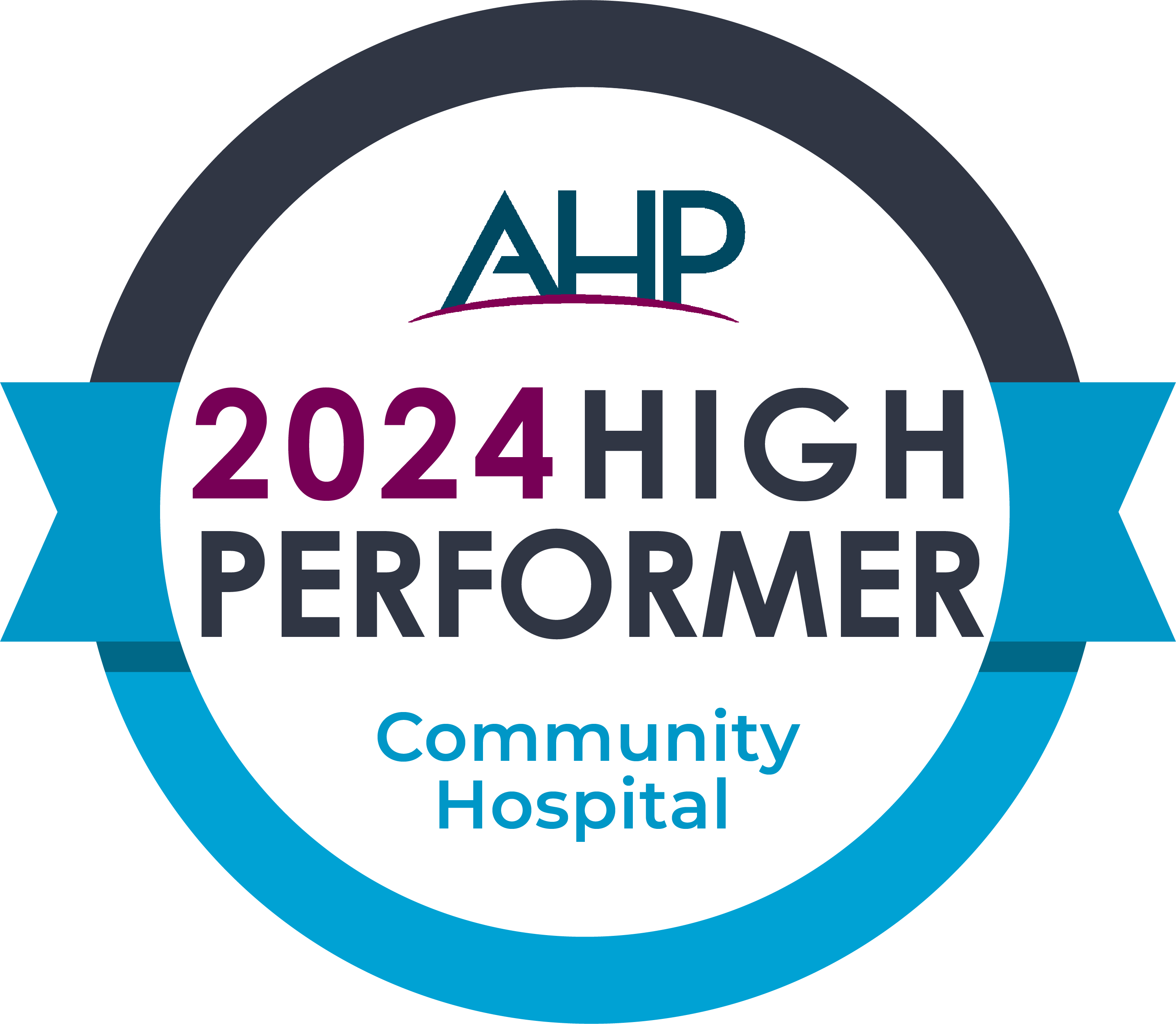 AHP 2024 high performer communinty hospital